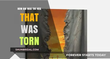 The Torn Veil: Unveiling the Symbolic Size of Redemption's Gateway