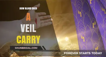 Unveiling the Symbolism: How Much Blood Does a Veil Carry?