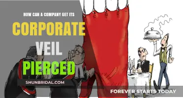 Piercing the Corporate Veil: Risks, Consequences, and Prevention Strategies