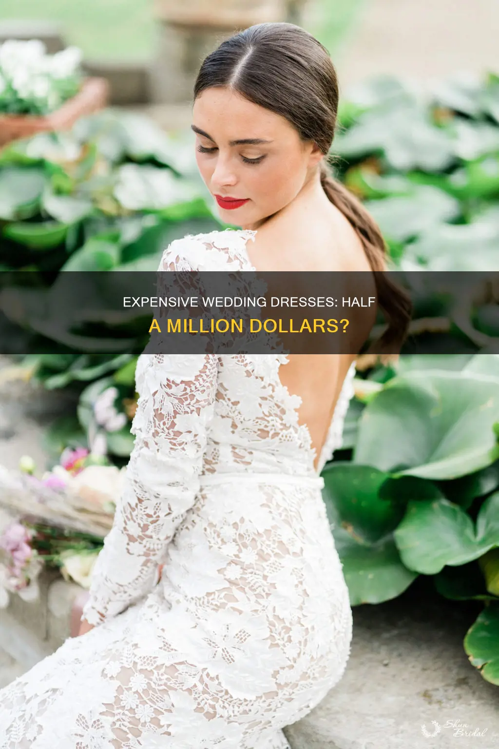 how can a plain wedding dress cost 500 000