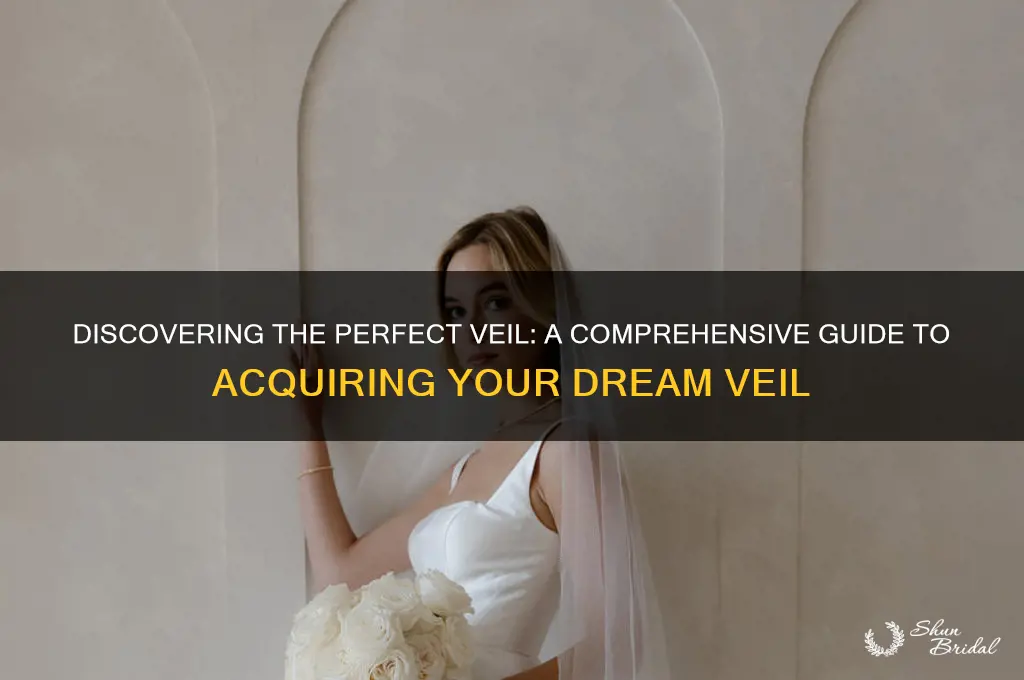 how can i get veil