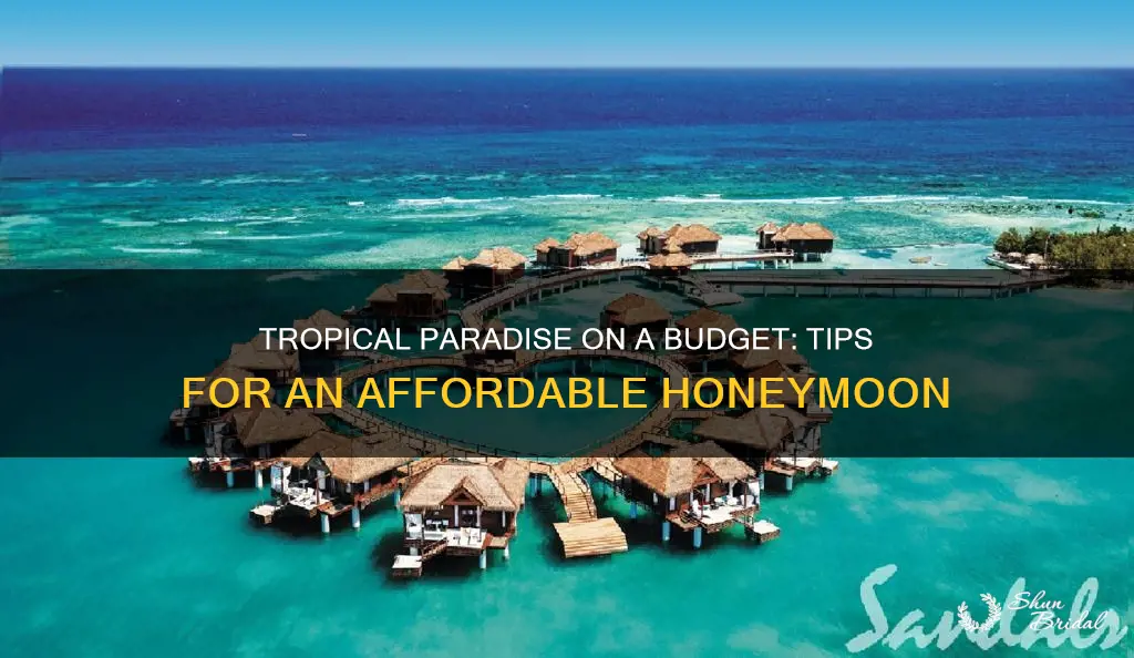 how can I go tropical honeymoon cheap