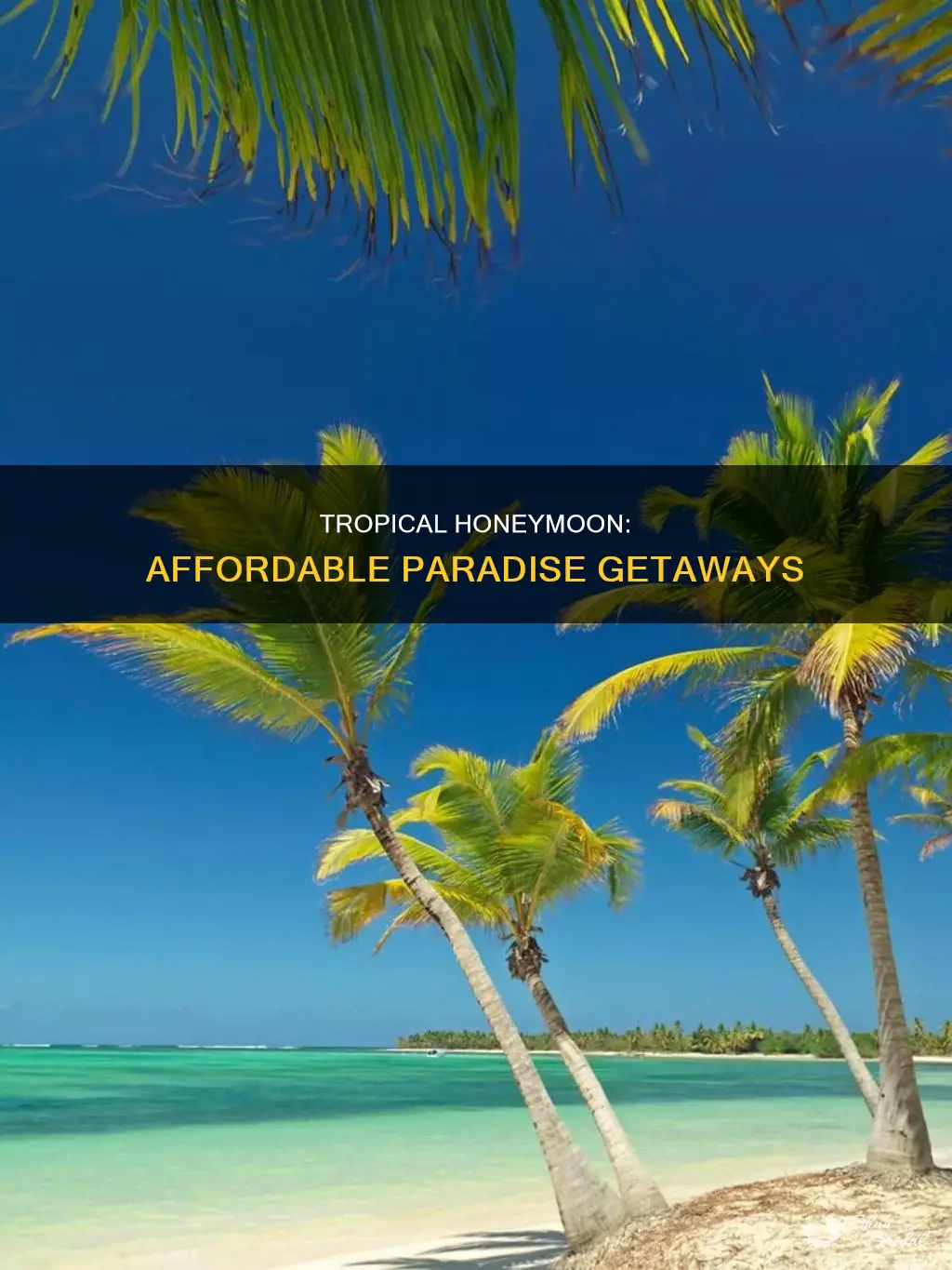 how can I go tropical honeymoon cheap