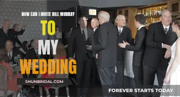 Bill Murray at My Wedding: How to Invite Him?