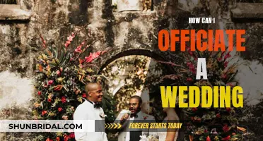 A Guide to Officiating Weddings: The Complete Process