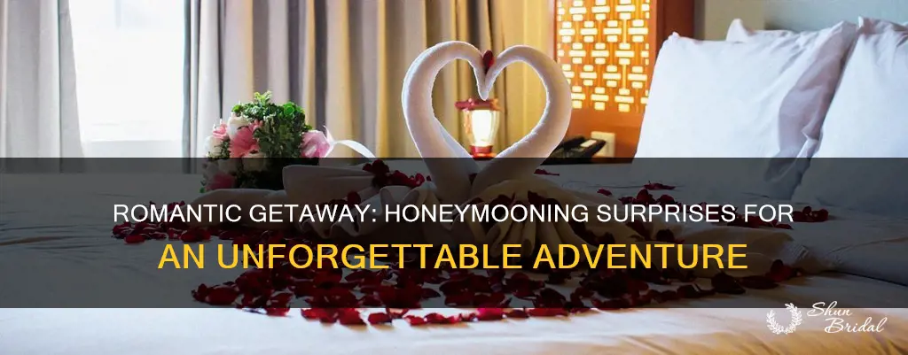 how can I surprise my husband on our honeymoon