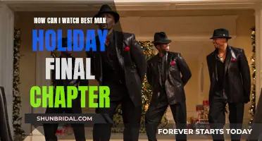 Best Man Holiday: Final Chapter Viewing Guide