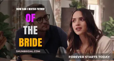 Where to Stream 'Father of the Bride' Online: A Complete Guide