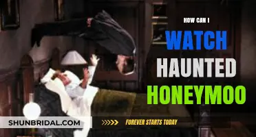 Where to Stream Haunted Honeymoon: A Guide to Watching the Comedy