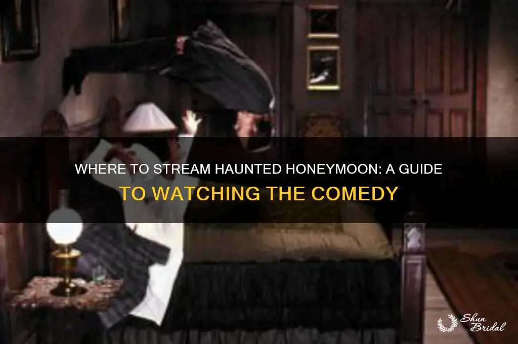 how can i watch haunted honeymoon