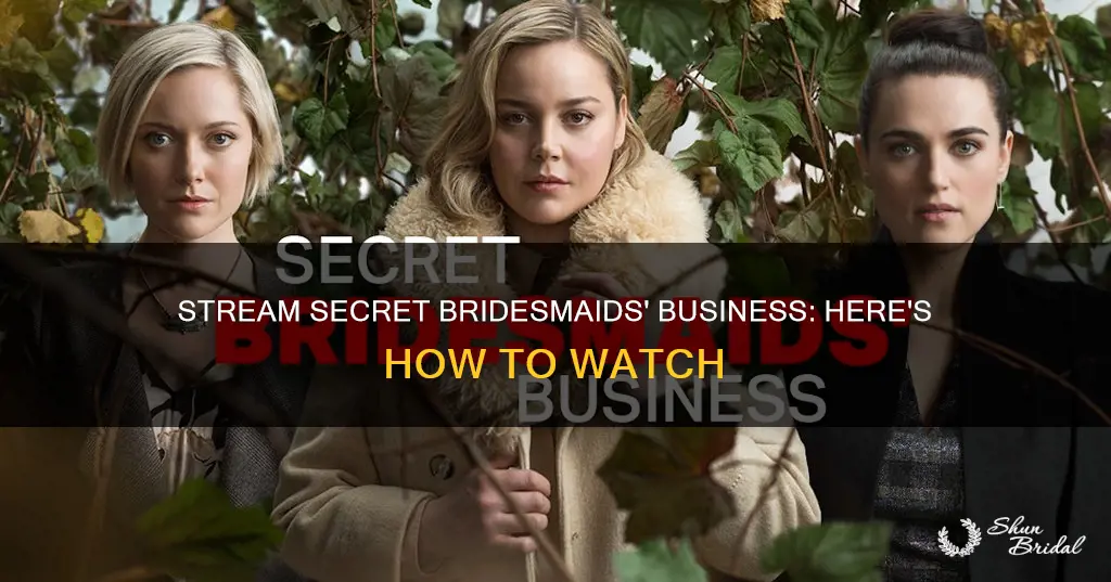 how can I watch secret bridesmaids business