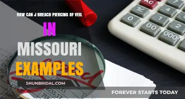 Missouri Veil Piercing: Breaching Corporate Shields with Real-Life Examples