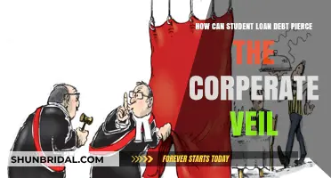 Student Loan Debt: Piercing the Corporate Veil Explained
