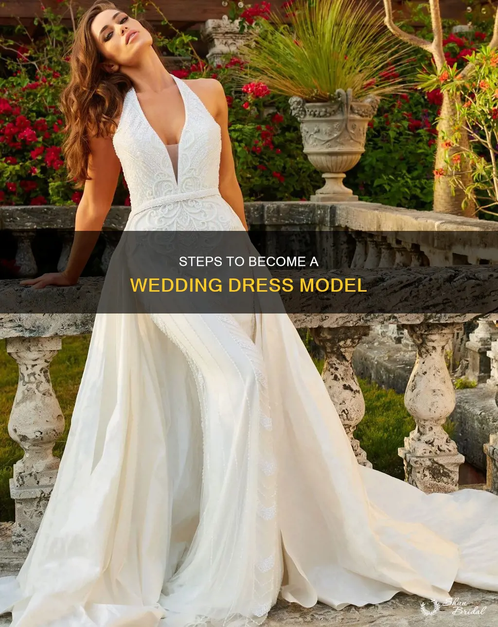 how can you become a wedding dress model