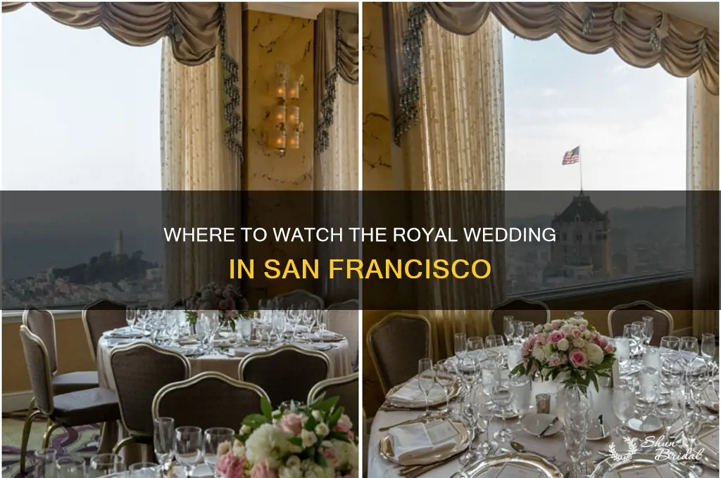 how cn i see the royal wedding in san francisco