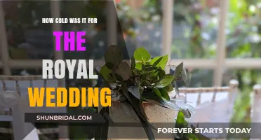 Chilly Royal Nuptials: Unveiling the Frosty Temperatures of the Royal Wedding
