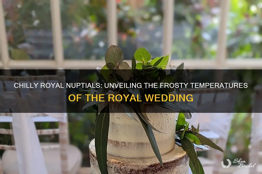 how cold was it for the royal wedding