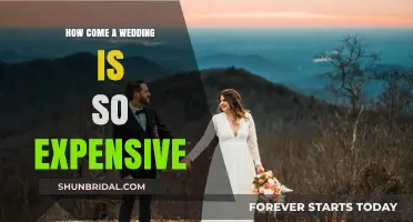 The High Cost of Weddings: Why So Expensive?