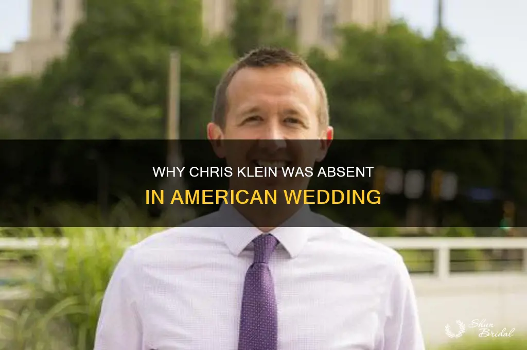 how come chris klein was not in american wedding