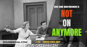 Honeymooners' Disappearance: Unraveling the Mystery Behind the Cancellation