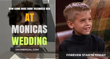 Why Didn't Ross Recognize His Own Son?