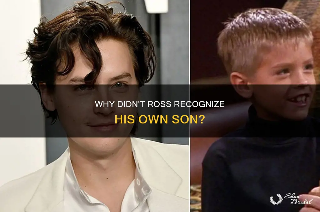 how come ross didnt recongize ben at monicas wedding