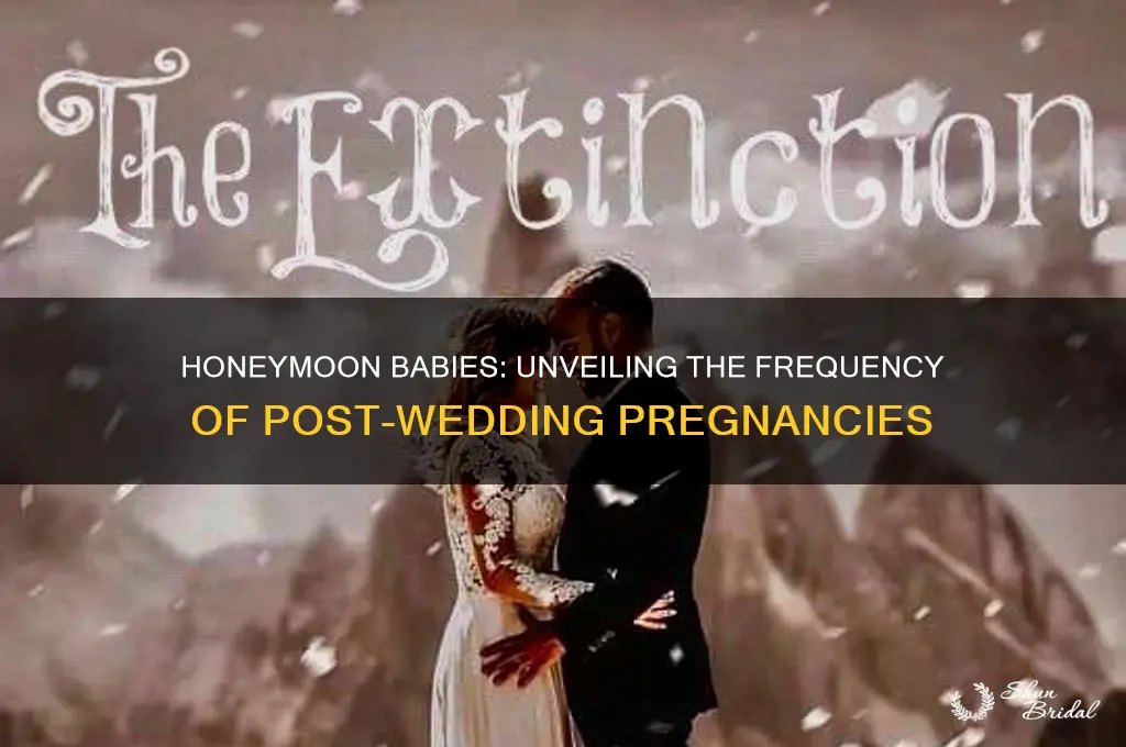 how common are honeymoon babies