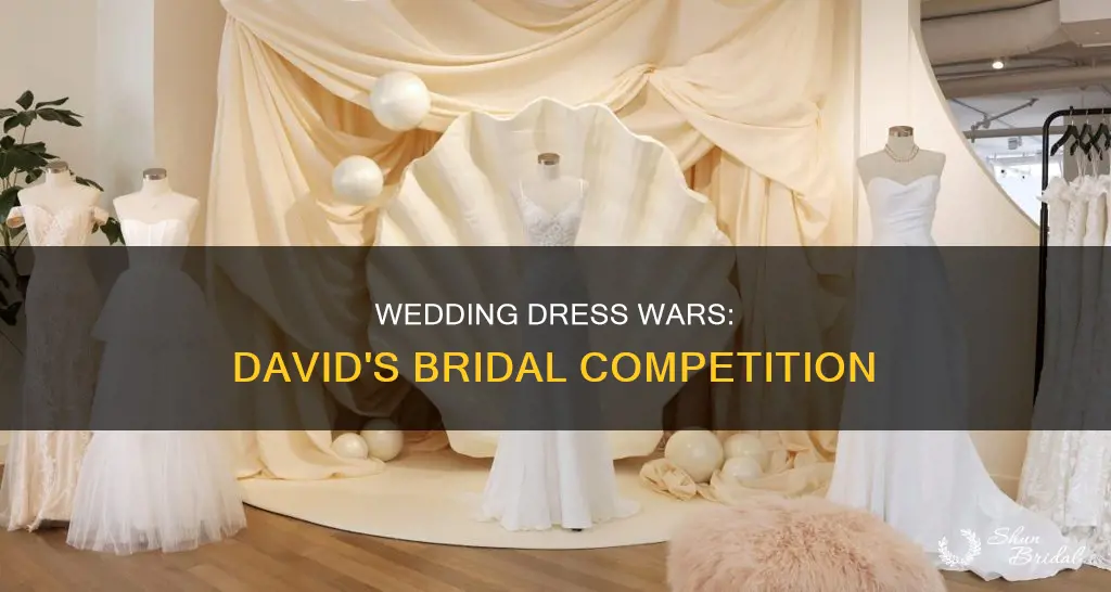 how competitive is the wedding dress market david