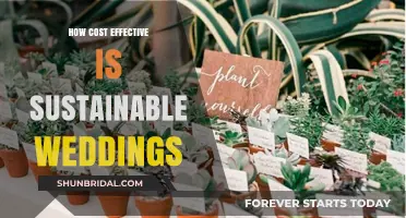Eco-Friendly Nuptials: Budget-Savvy Tips for Sustainable Wedding Celebrations