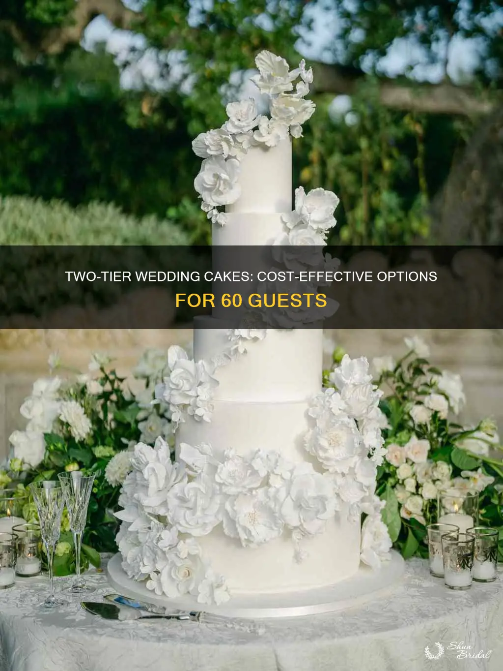 how cost two tier wedding cake for 60 people