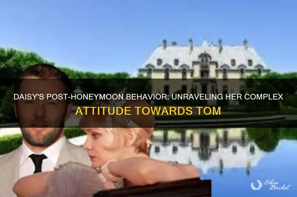 how ddi daisy act towards tom after their honeymoon