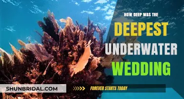 Diving into Love: The Record-Breaking Deepest Underwater Wedding