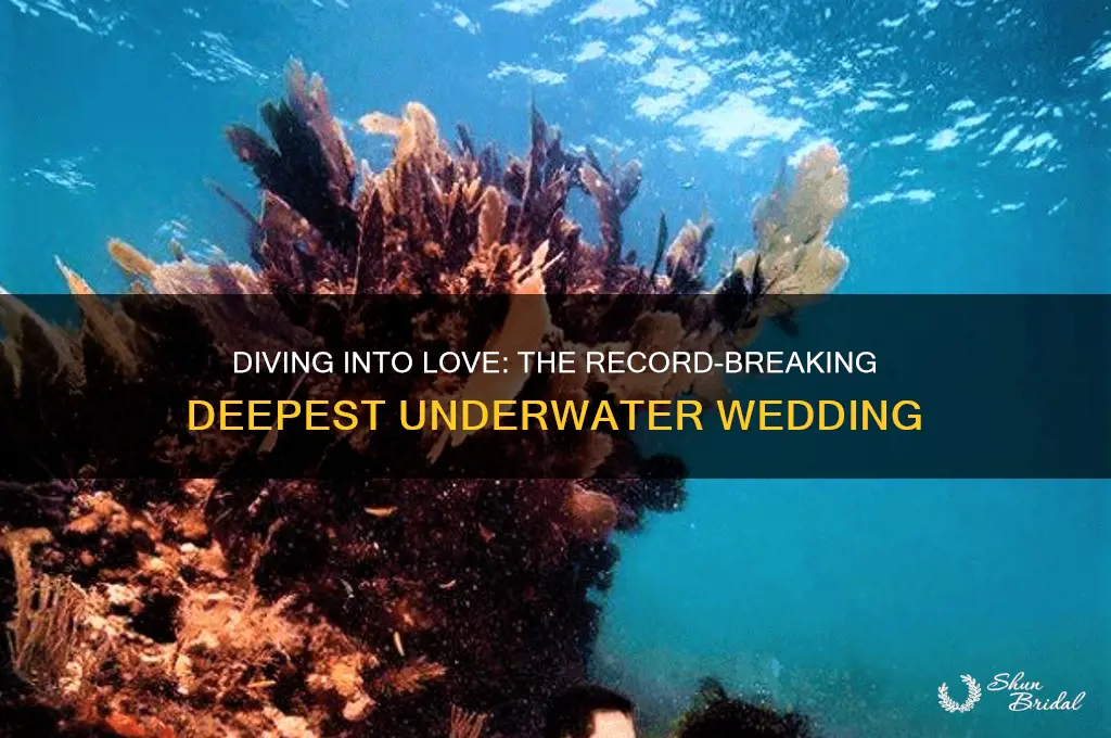 how deep was the deepest underwater wedding