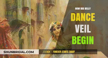 Origins of Belly Dance Veil: A Historical and Cultural Journey