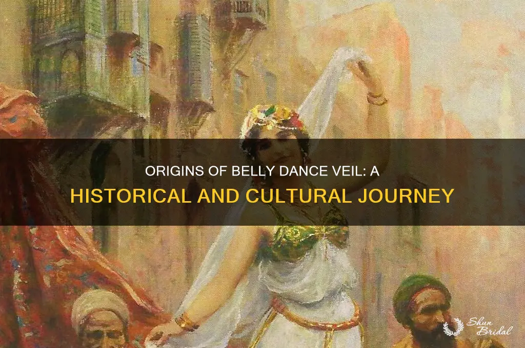 how did belly dance veil begin