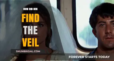 Unveiling the Mystery: Ben's Quest to Discover the Veil