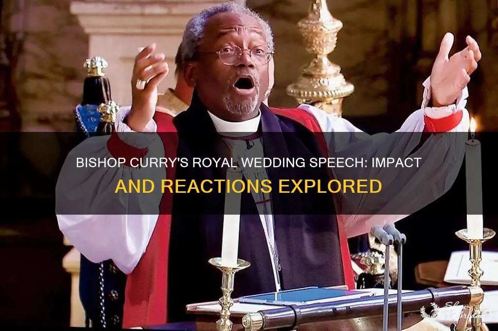 how did bishop currys speech go over at wedding