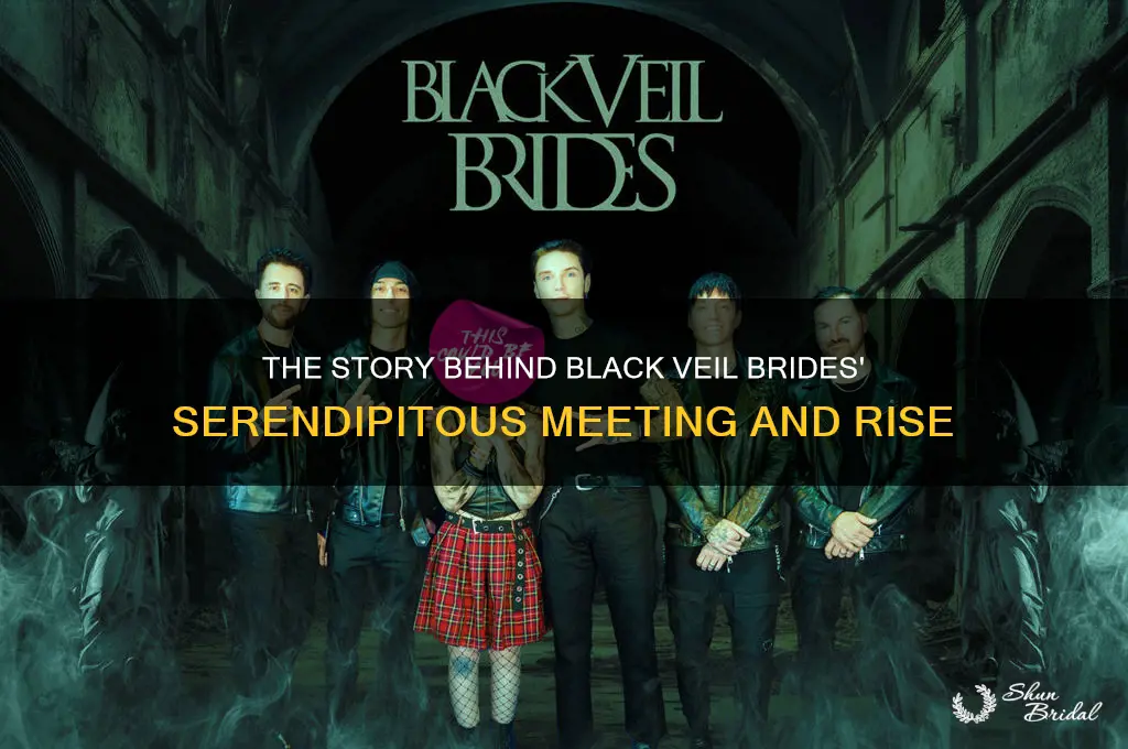 how did black veil brides meet
