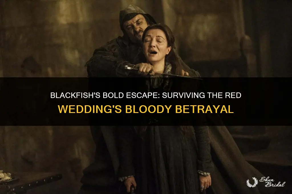 how did blackfish escape the red wedding