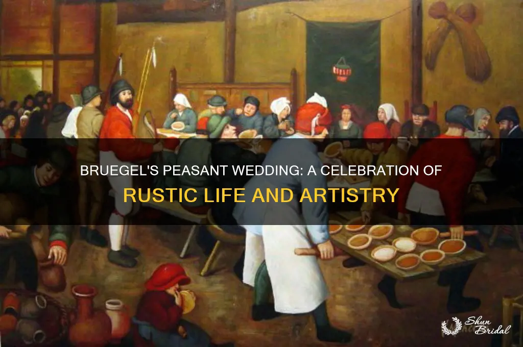 how did bruegel approach the peasants in the peasant wedding