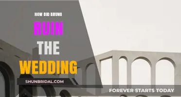 How Bruno's Blunder Turned a Dream Wedding into Chaos