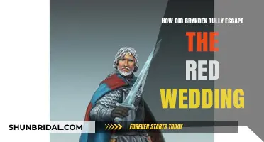 Brynden Tully's Escape: Unraveling the Mystery of the Red Wedding