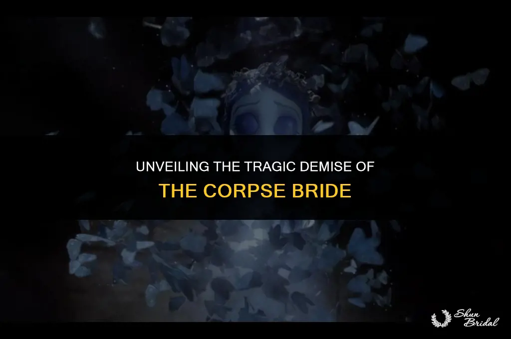 how did corpse bride die
