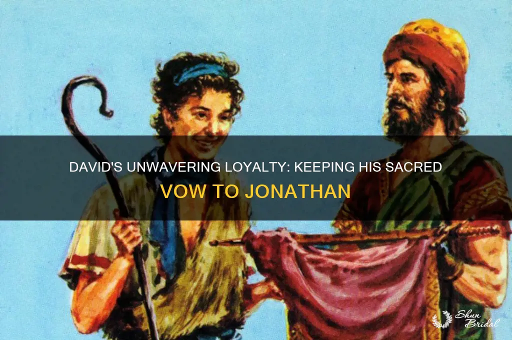 how did david keep his vow to jonathan