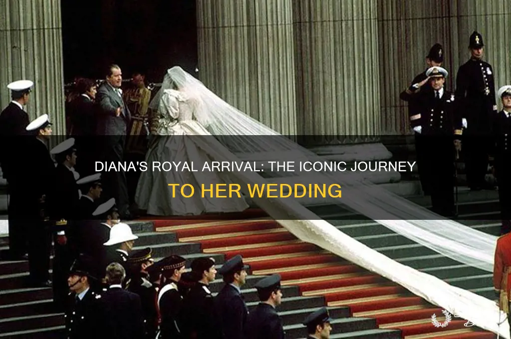 how did diana arrive at her wedding