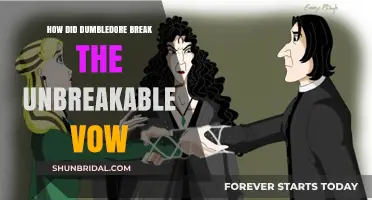 Dumbledore's Secret: Breaking the Unbreakable Vow Explained