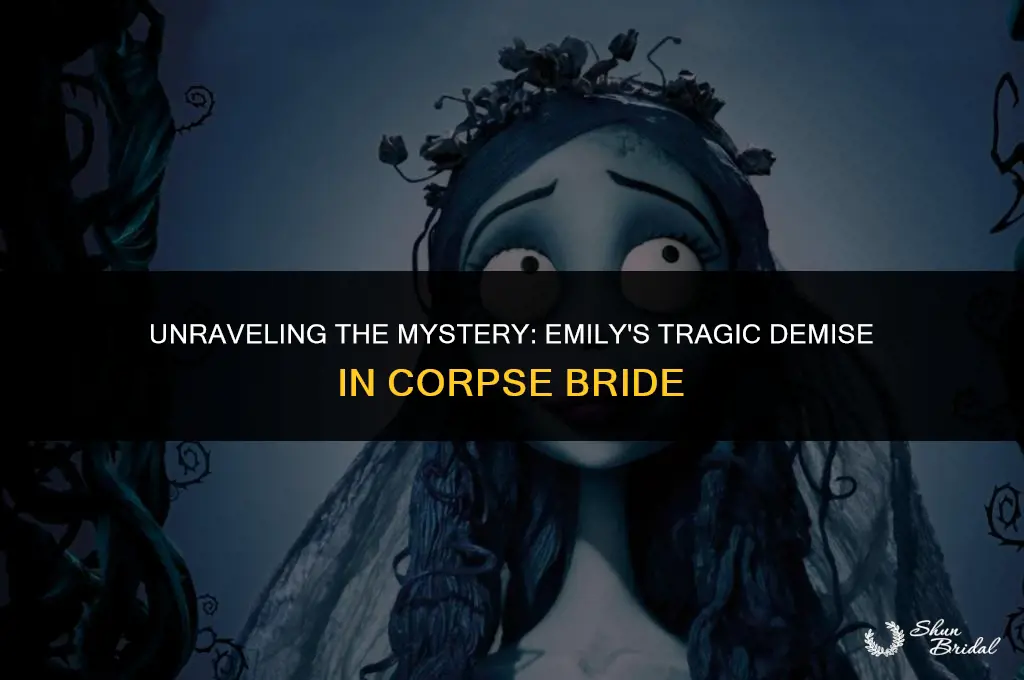 how did emily die corpse bride