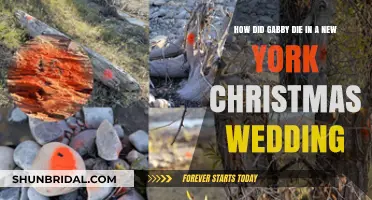 Gabby's Tragic Fate in 'A New York Christmas Wedding' Explained