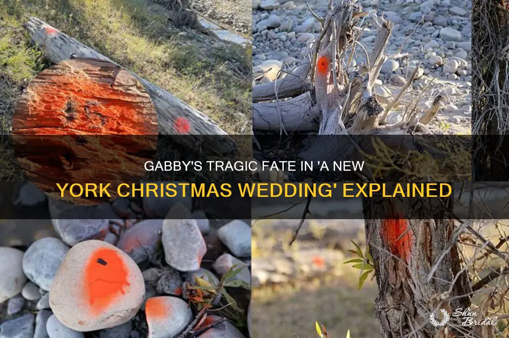 how did gabby die in a new york christmas wedding