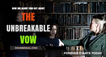 Unbreakable Vow Unveiled: Harry's Discovery in Half-Blood Prince